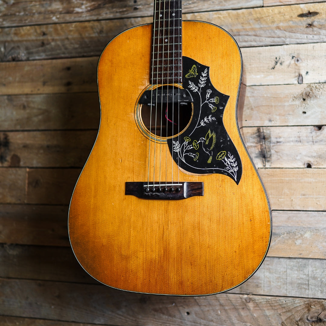 1968 Martin D-18S - Ex Noah And The Whale