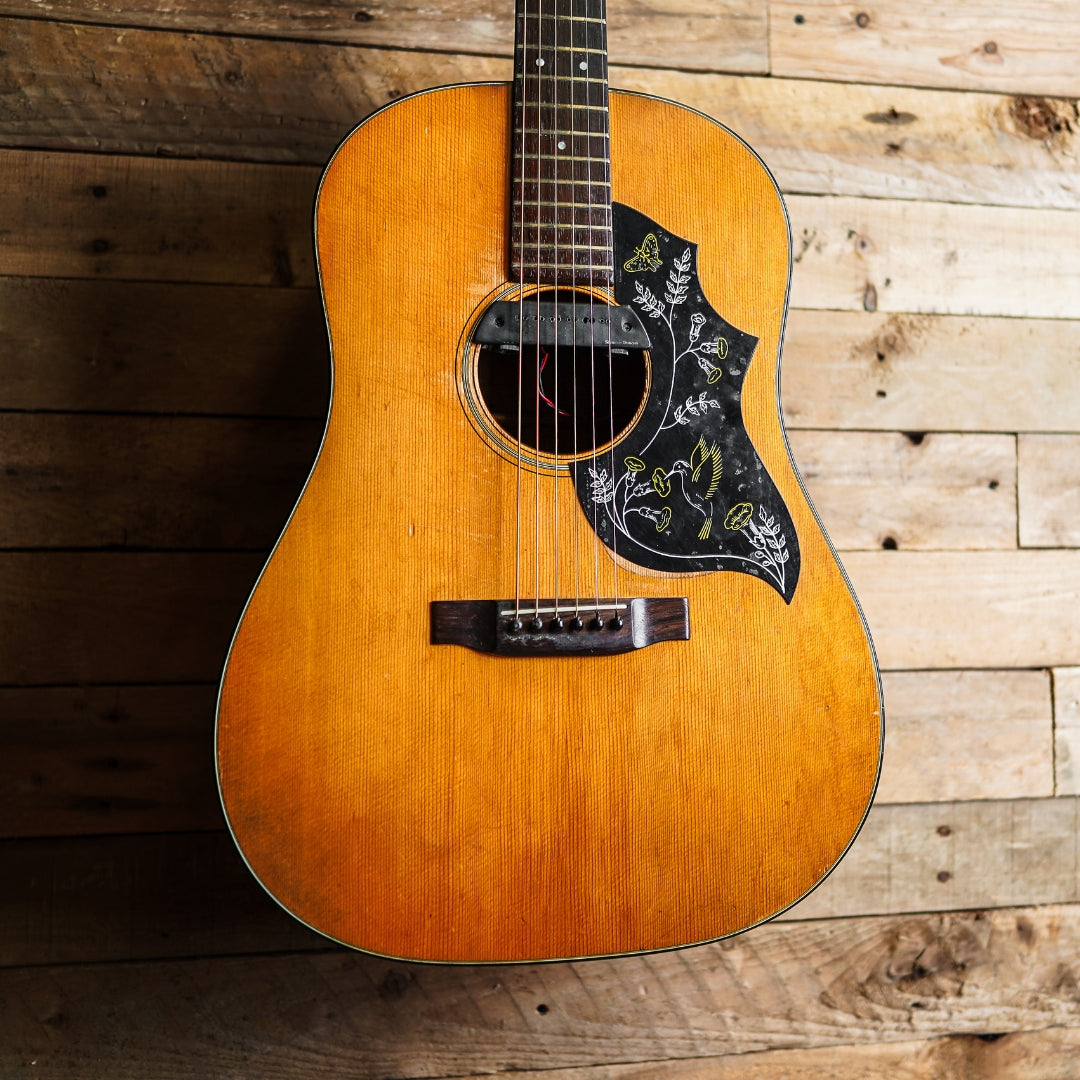 1968 Martin D-18S - Ex Noah And The Whale