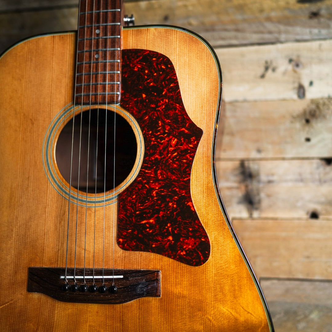 ギター Gibson J-50 DELUXE 1973 1973 Gibson J-50 Deluxe Dreadnought Guitar